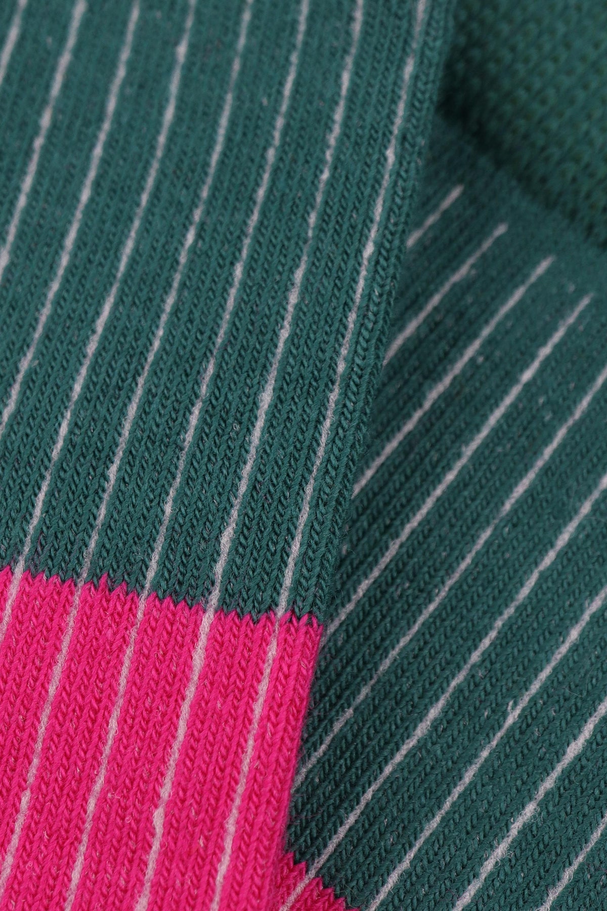 Women's Everyday Soft Cotton Crew Socks