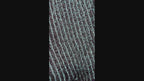 Women's Glitter Ribbed Dress Socks Black Aqua